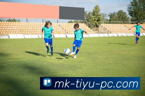 多媒体互动体验