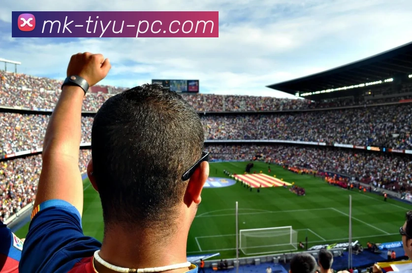 MK体育APP 体育赛事宣传图