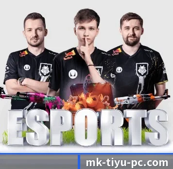 MK体育 APP（MKSPORTS）
