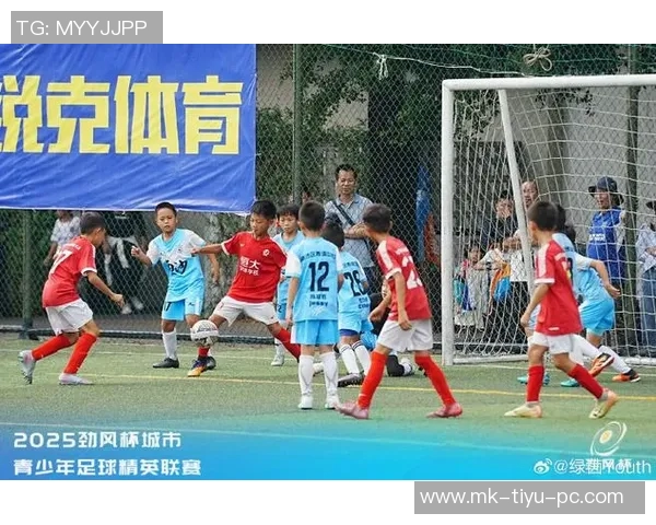 中国足球新力量462杯参赛队伍详解及恒大足校职业俱乐部梯队介绍